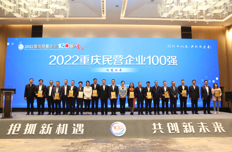 民营企业100强2022年1